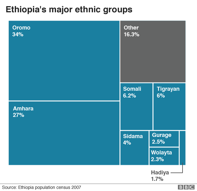 Chart showing the ethnic make-up of Ethiopia