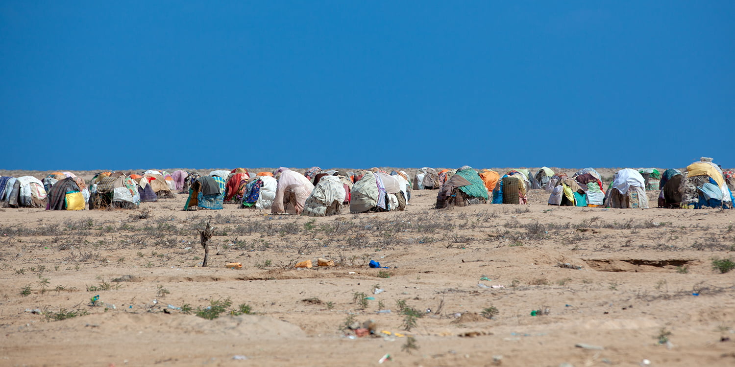 Huts sheltering refugees in Lughaya, Somaliland, on Nov. 21, 2011.
